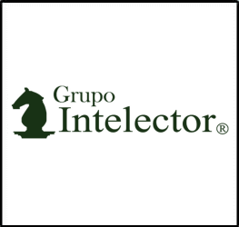 Grupo Intelector